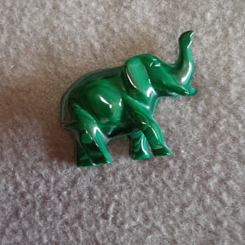 Kleiner elefant aus - elefant,