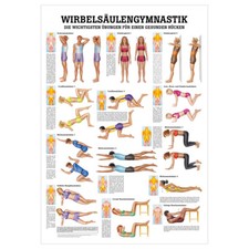 Wirbelsäulengymnastik Lehrtafel Anatomie 100x70 cm medizinische Lehrmittel
