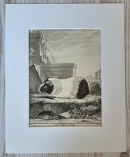 1767 Lithographie Kunstdruck