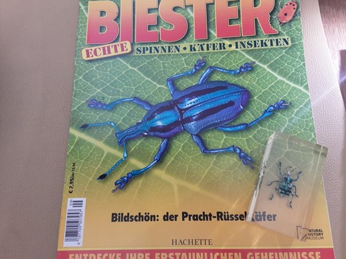 Mini biest pracht - mini,