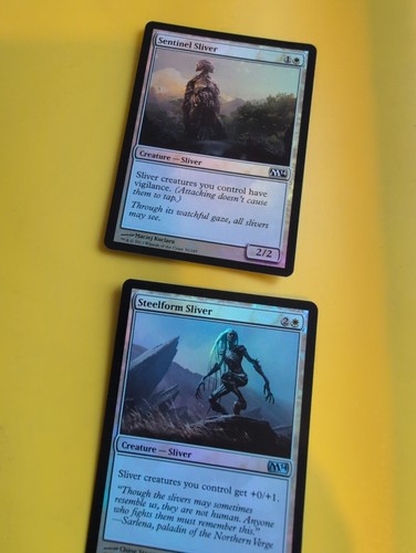 Steelform sliver sentinel - steelform,