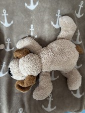 Bambia Volksbank Hund liegend