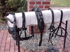 1-spänner Brustblattgeschirr