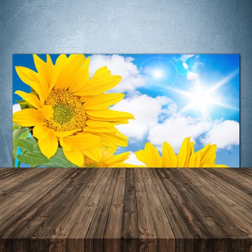 Küchenrückwand aus glas esg - küchenrückwand,