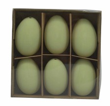 Ostereier Box mit Gänseeier -