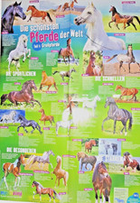 59x41 Poster Die schönsten