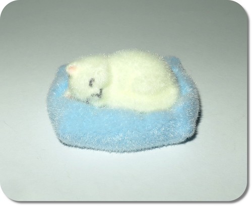 Miniatur katze auf kissen - miniatur,