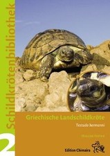 Griechische landschildkröte - griechische,