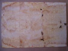 Super MASERAHORN Burl Decke Top 57x39-40,5x1 cm Gitarre Bass Tonholz tonewood