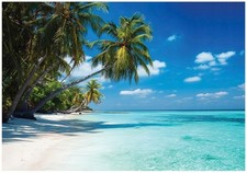 Fototapete-VLIES-PALMENSTRAND-(C15850)-Tapete-Nach-Mass-Tropisches Sand Dune XXL