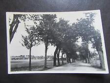 AK Reichmannsdorf,Kr.Neuhaus,Straße,Allee, um 1957