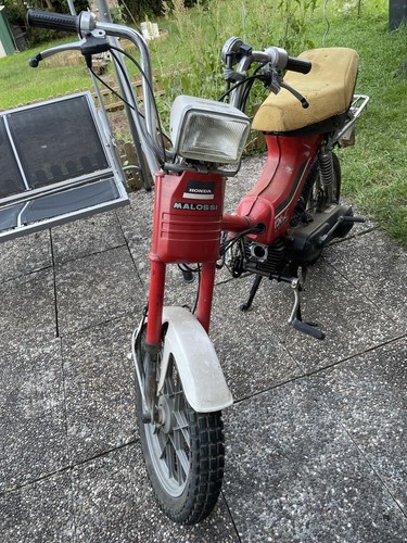 Honda 50 - honda, px