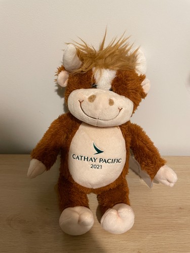 Cathay pacific 2021 - pacific,