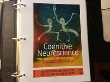 Cognitive Neuroscience: The