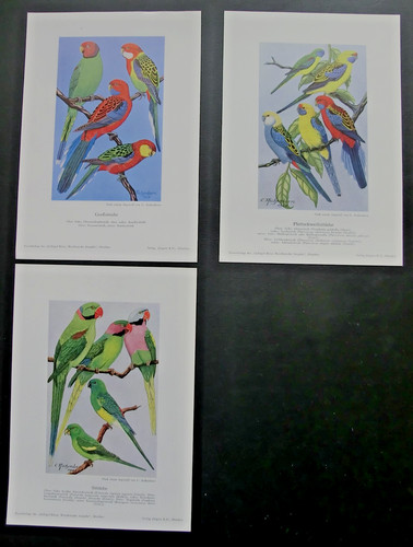Original kunstbeilagen der - original,