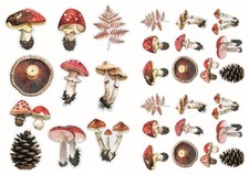 Ausschneidebogen-Bastelpapier-