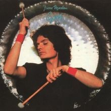 Downwind von Gong | CD | Zustand sehr gut