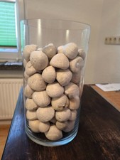 Fossilien - Seeigel aus Dänemark