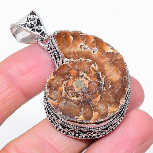 Ammonit fossil edelstein - fossil,