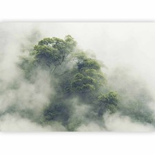 WALD NEBEL BAUM NATUR Vlies