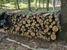 3 Ster Brennholz Eiche, Meterstücke, waldgelagert