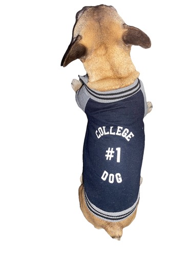 Hunde pullover collegejacke - hunde, pullover/collegejacke