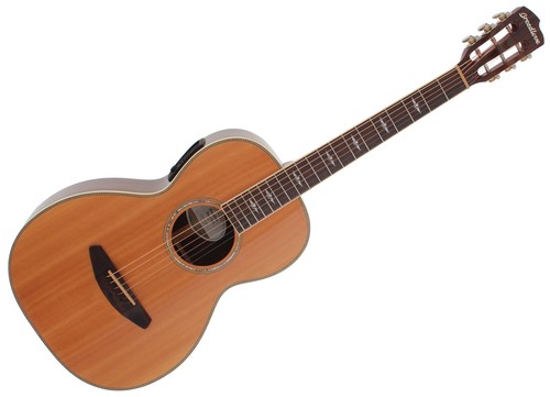 Breedlove stage stp22 - stp22, ce