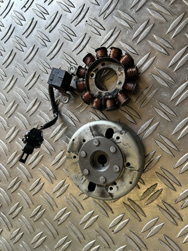 Lichtmaschine polrad - +,