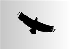 Vogel aufkleber wintergarten - aufkleber,