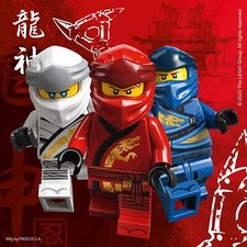 LEGO NINJAGO PARTY SET -