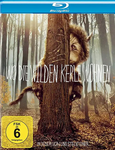 Die wilden kerle wohnen - wilden,