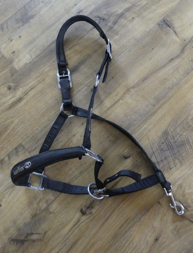 Kieffer nylonhalfter unterlegt - nylonhalfter,