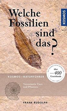 Welche fossilien sind das - sind,