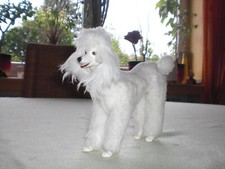 Barbie Hund Pudel Lord MyLord