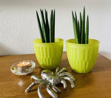 2 x Übertopf SET VASEN