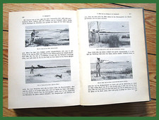 Diezels Niederjagd - 14