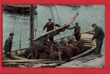 SHETLAND.      VERSAND