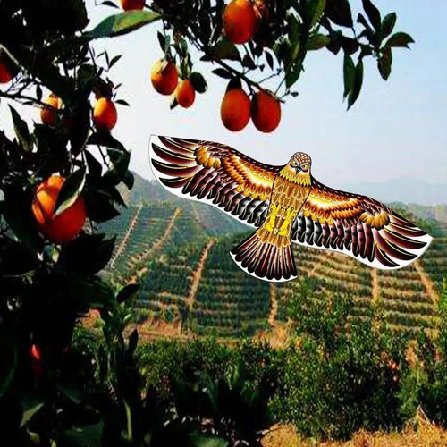Vogelabwehr drachen adler - vogelabwehr,