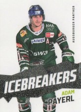 1 DEL Playercard zum Aussuchen * Ice Breakers * Saison 2020-21 * 20-21