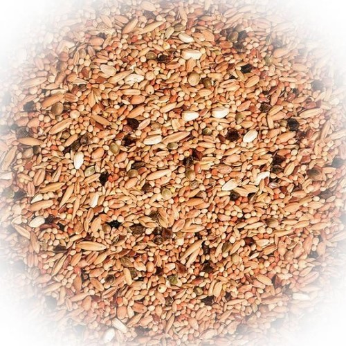 Fumyfutter agaporniden und - fumyfutter,