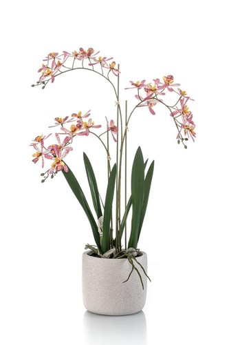 Artplants künstliche orchidee - artplants,