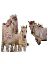 GEO lino extra Nr. 74 Pferde