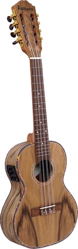 Ashbury saiten tenor - ashbury, 8-saiten