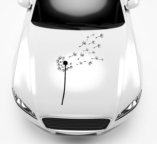 Aufkleber pusteblume sticker - aufkleber,