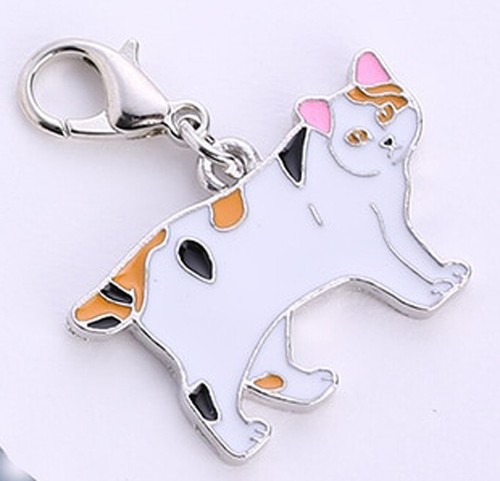 Japanese bobtail katze - bobtail,