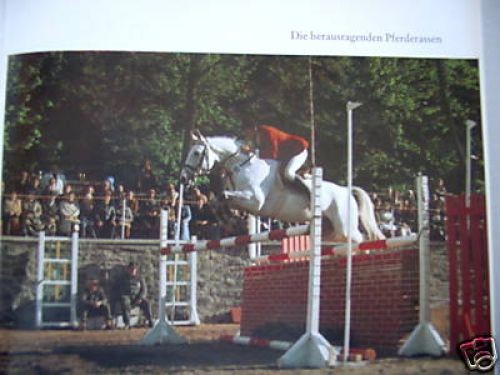 Asil araber - arabians, 1993