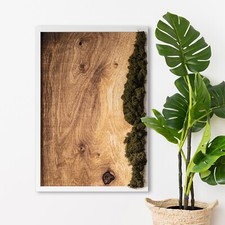 Bild mit Natürlichem Moos-