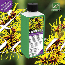 Zaubernuss-Dünger - Hamamelis