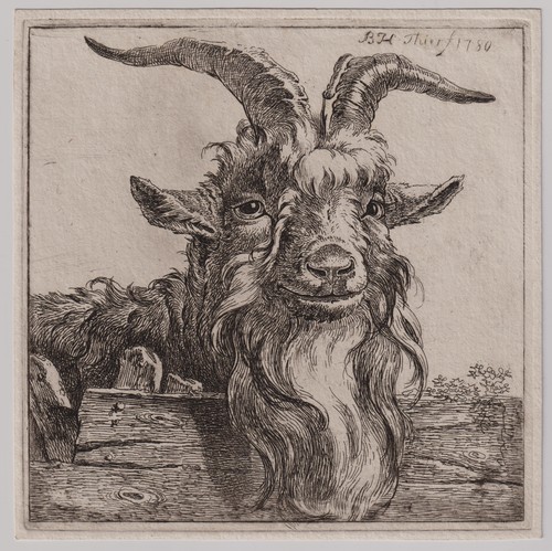 Bernhard heinrich thier - heinrich,
