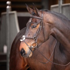 Shires Velociti GARA